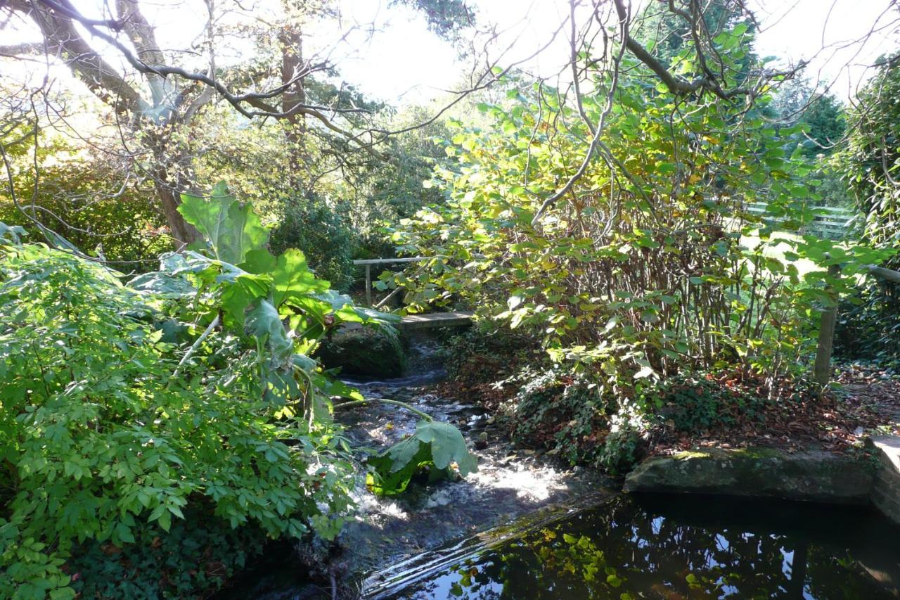 Luxury Bed And Breakfast At Bossington Hall In Exmoor, Somerset 폴록 외부 사진