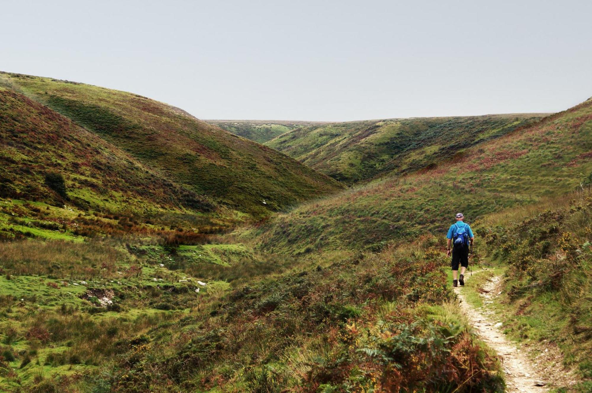 Luxury Bed And Breakfast At Bossington Hall In Exmoor, Somerset 폴록 외부 사진